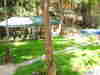 JARDIM DO BOSQUE,  ARROIO,CHURRASQUEIRA  vista dos Chales TANGO ARGENTINA e ORIENTAL